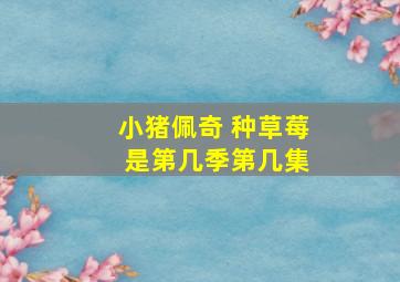 小猪佩奇 种草莓 是第几季第几集